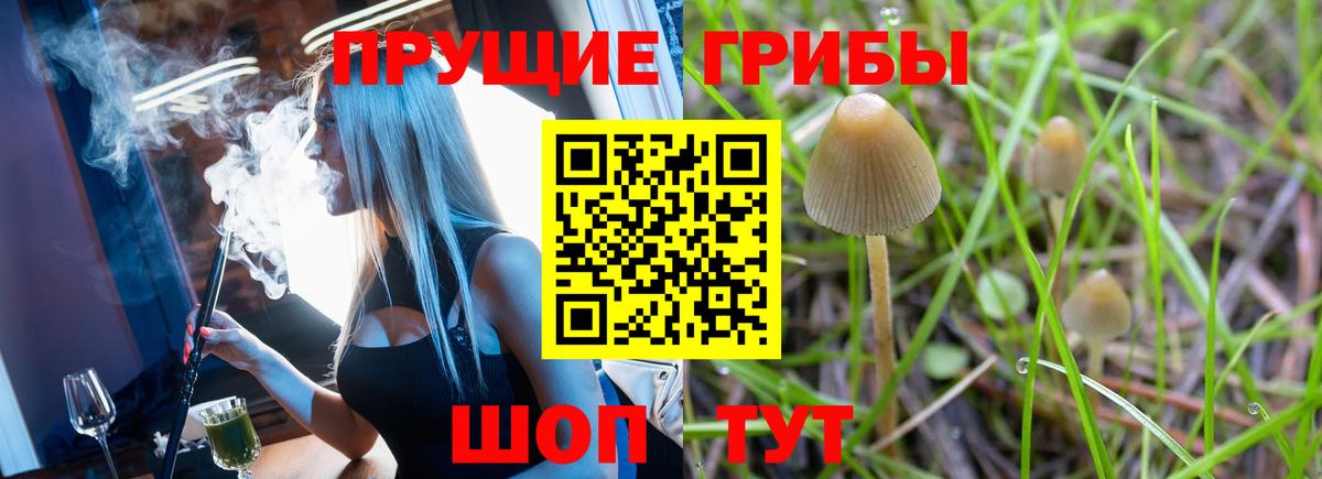 Качканар  Галлюциногенные грибы ЛСД  Вход с VPN 